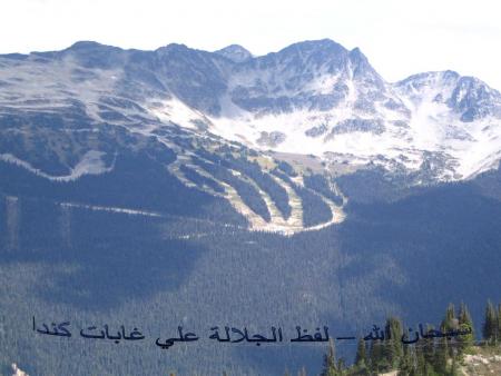 the name of god ( allah) in the forest of canada