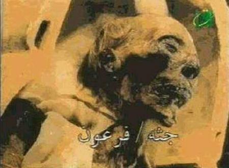 fir3awn