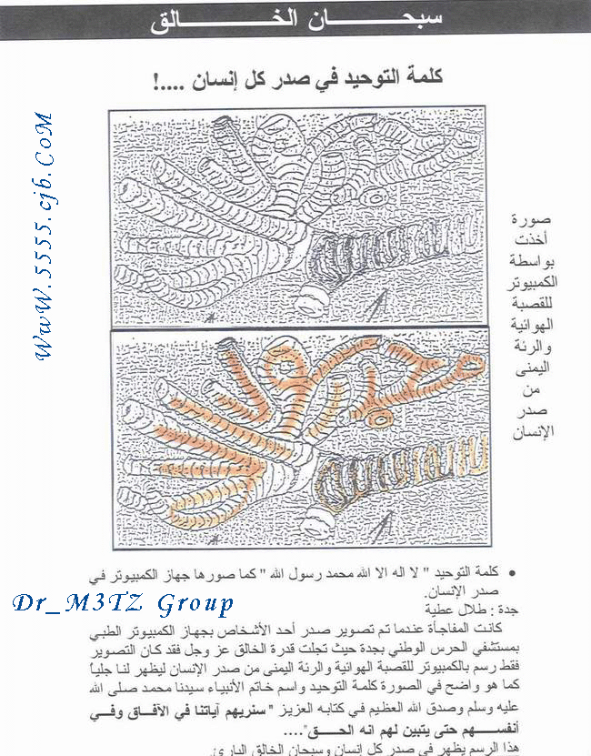 sob7ana lah
